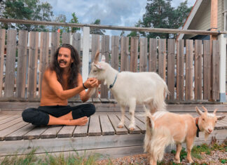 Recap – småföretagande hippie i coronatider
